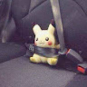 Meet your Posher, Joyce